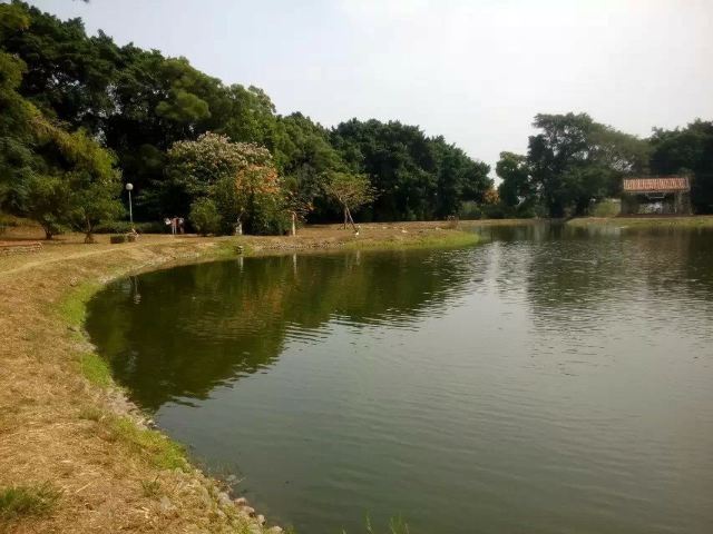 동해대학