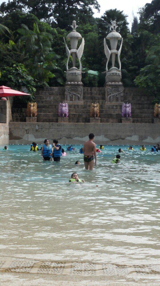 Adventure Cove Waterpark