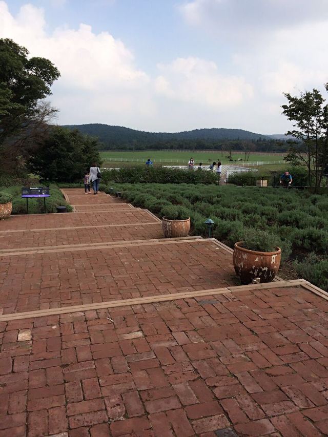 Eco Land Theme Park