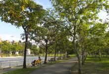 大安森林公园景点图片