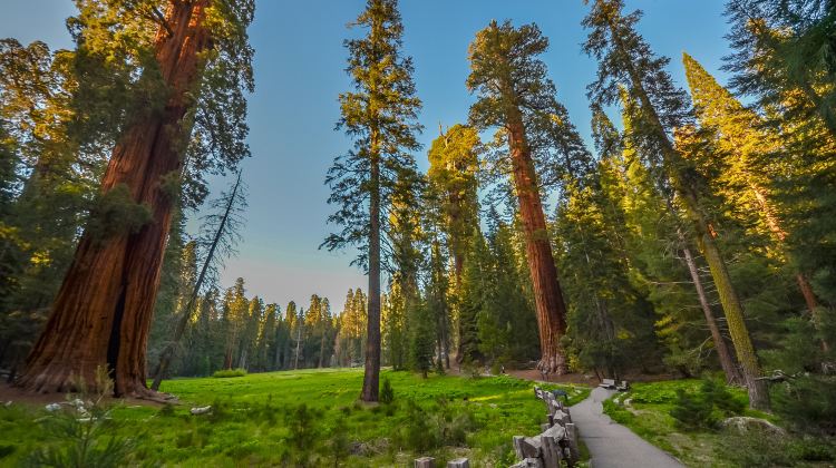 2-Day Yosemite & Kings Canyon National Parks Tour·from San Francisco