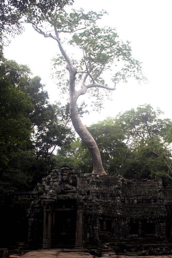 Ta Prohm