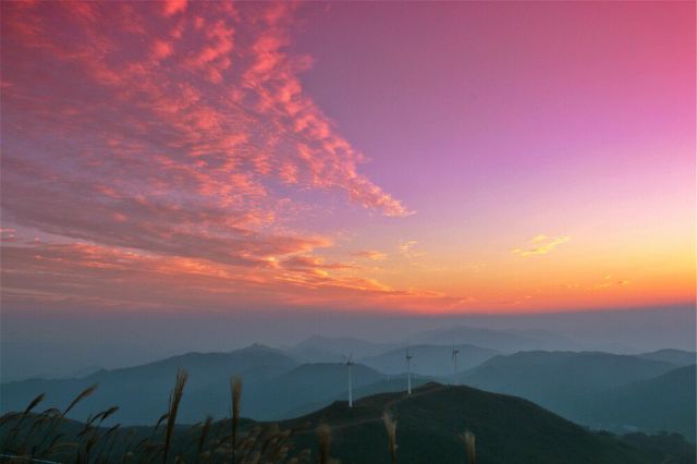 동백산