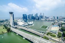 新加坡-doris圈圈