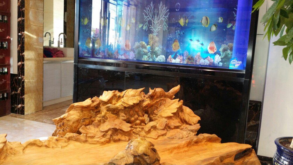 千年红烤肉(学苑小区店)