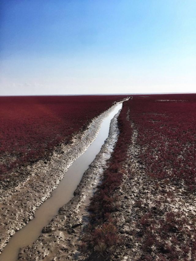 紅海灘國家風景廊道