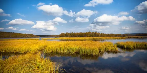 阿爾山國家森林公園-鹿鳴湖
