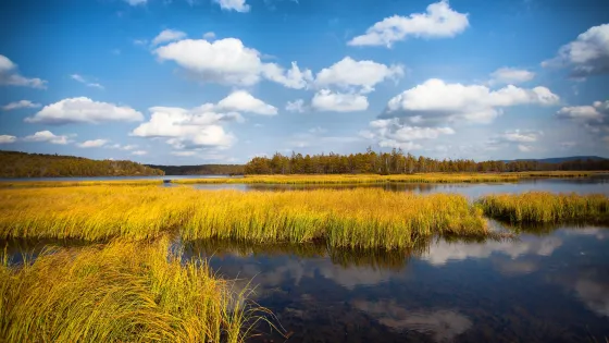 阿爾山國家森林公園-鹿鳴湖