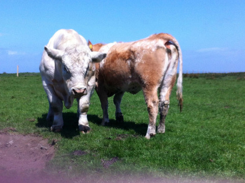 23岁在路上之爱尔兰