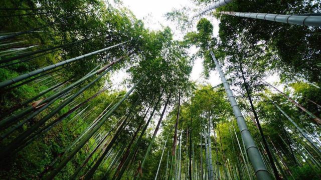 莫干山景區