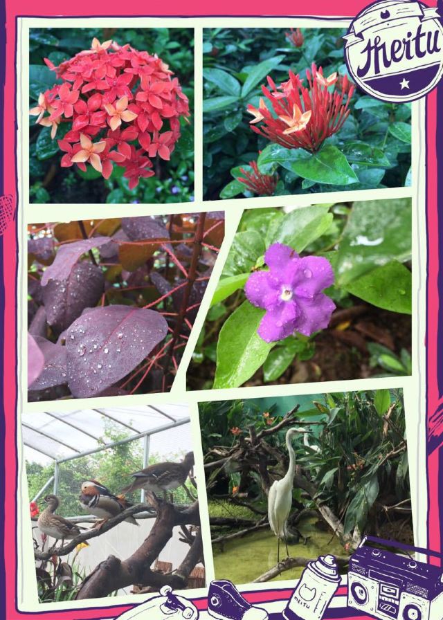 Chimelong Bird Park