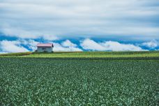 美瑛町-doris圈圈