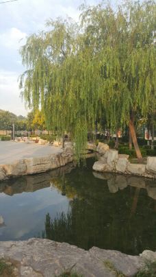 萌山公园-嘉祥-碧水蓝天