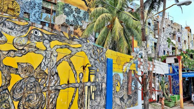 迈阿密、罗德岱堡+3