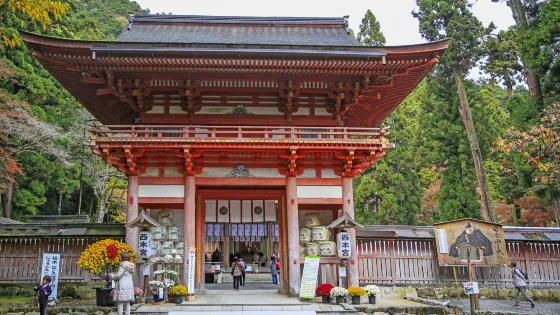 日吉大社