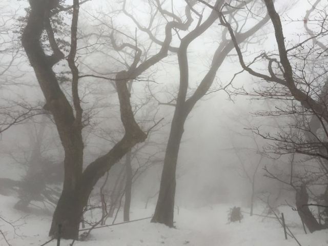 한라산 국립공원