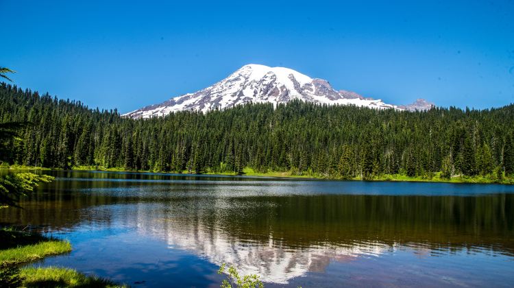 5-Day Bus Tour from San Francisco · Redwood National and State Parks, Crater Lake national park, Mt. Rainier National Park, Seattle