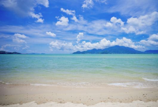 深圳大梅沙+中英街+地王观光一日游【市区上门接送】【2人起市区范围上门接送（罗湖区、福田区、南山区）；2人起深圳全市上门接；】