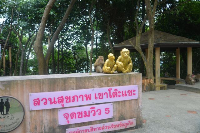 Monkey Hill