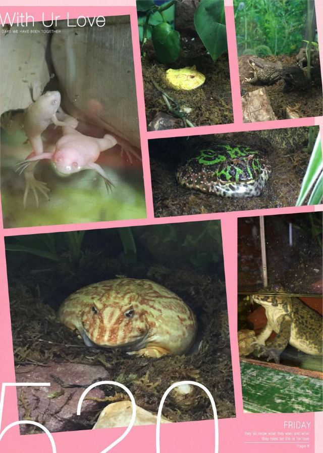 Chimelong Bird Park
