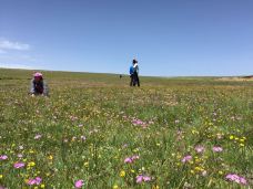 橡皮山-共和-小磨咖啡