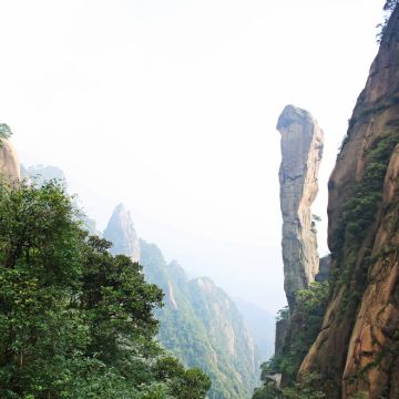 黄山+庐山+三清山+婺源10日9晚跟团游