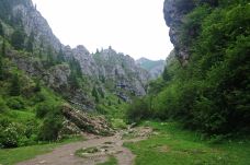 阿坝州纳摩大峡谷-若尔盖-走走-74511940