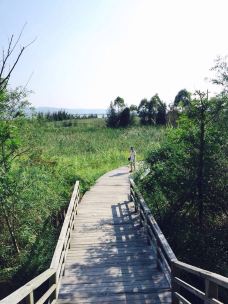 玉环漩门湾湿地公园-玉环-asobio