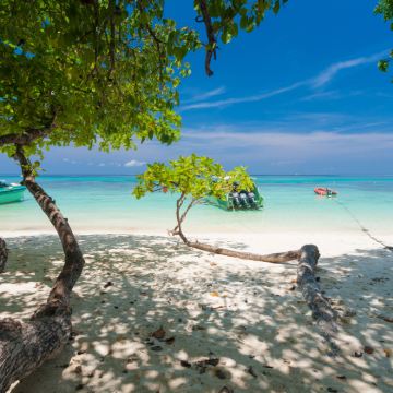 泰国甲米+兰塔岛3日2晚私家团