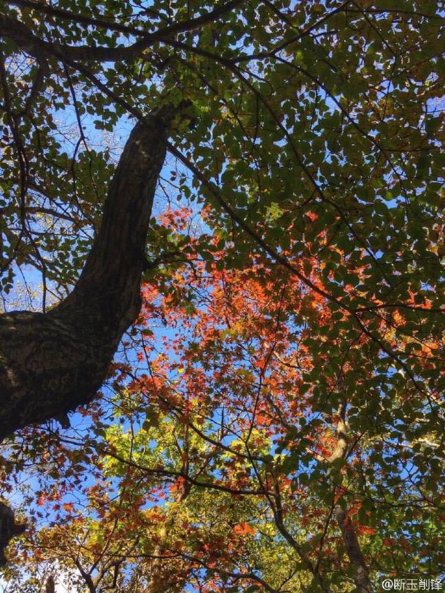 한라산 국립공원