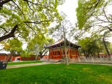 御花园-北京-doris圈圈