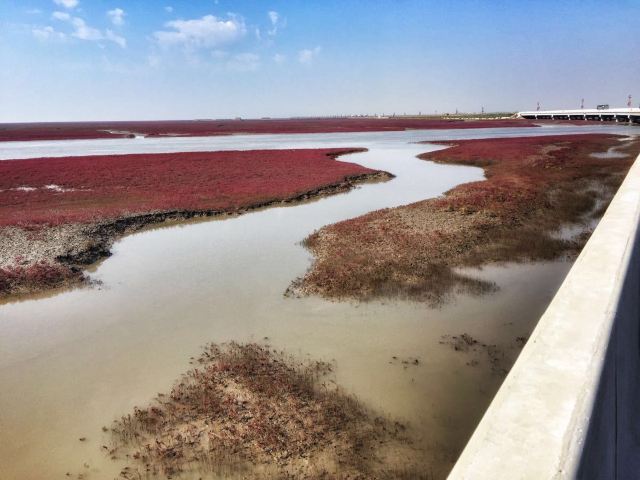 紅海灘國家風景廊道