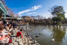 镰仓市旅游图片-镰仓江之岛文艺一日游