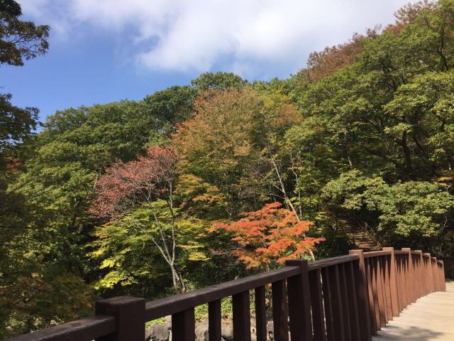 한라산 국립공원