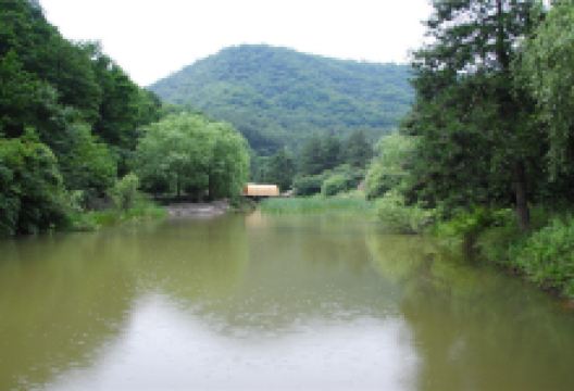米家沟生态园景点图片