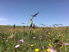 橡皮山-共和-小磨咖啡