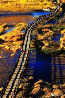 草海-盐源-_WeCh****43944