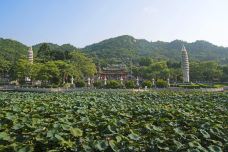 南普陀寺-厦门-doris圈圈