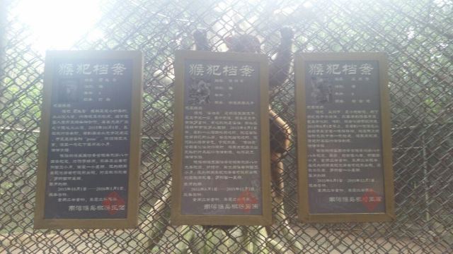 Nanwan Monkey Island