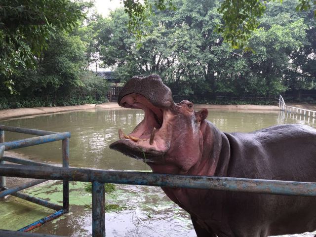 Chimelong Bird Park