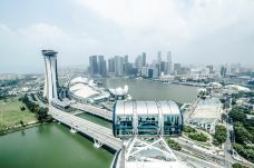 新加坡摩天观景轮-新加坡-doris圈圈
