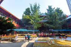 爱道堂-成都-doris圈圈