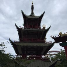 哥本哈根-pao****05