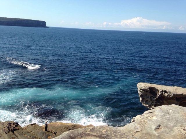 South Head and Watsons Bay Walk