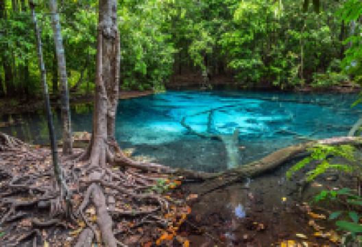 翡翠池景点图片