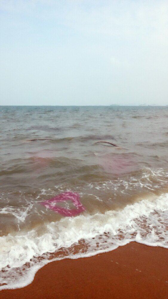 홀리데이 해변