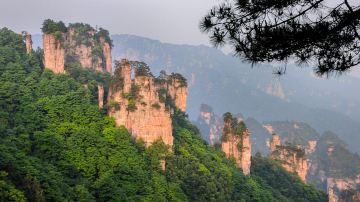 张家界森林公园