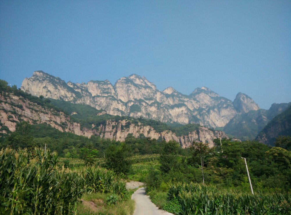天梯