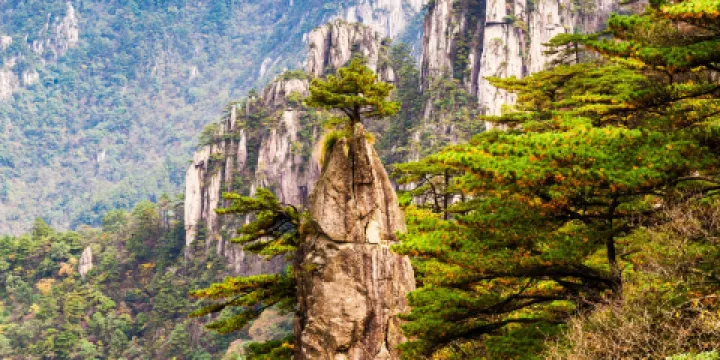 九龍峯-夢筆生花