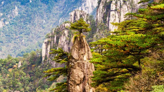 九龍峯-夢筆生花